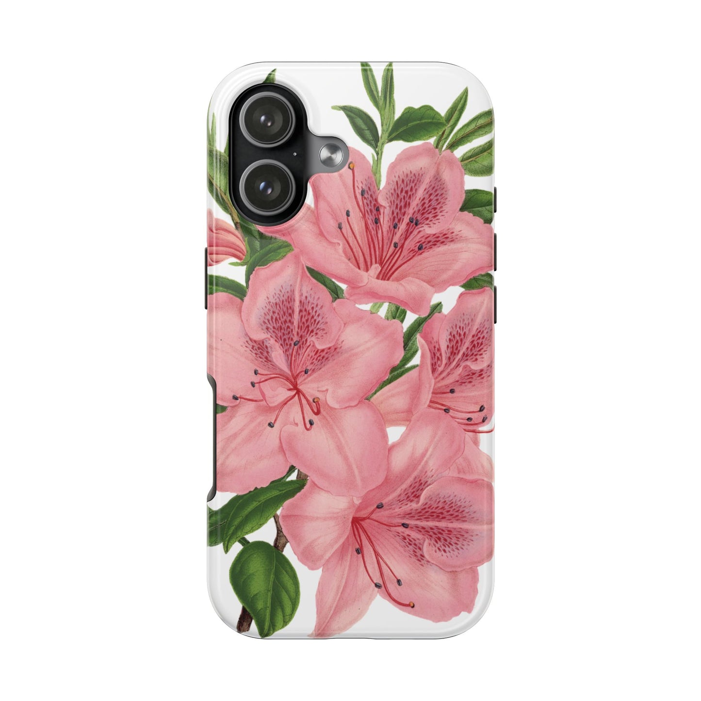 hibiscus case