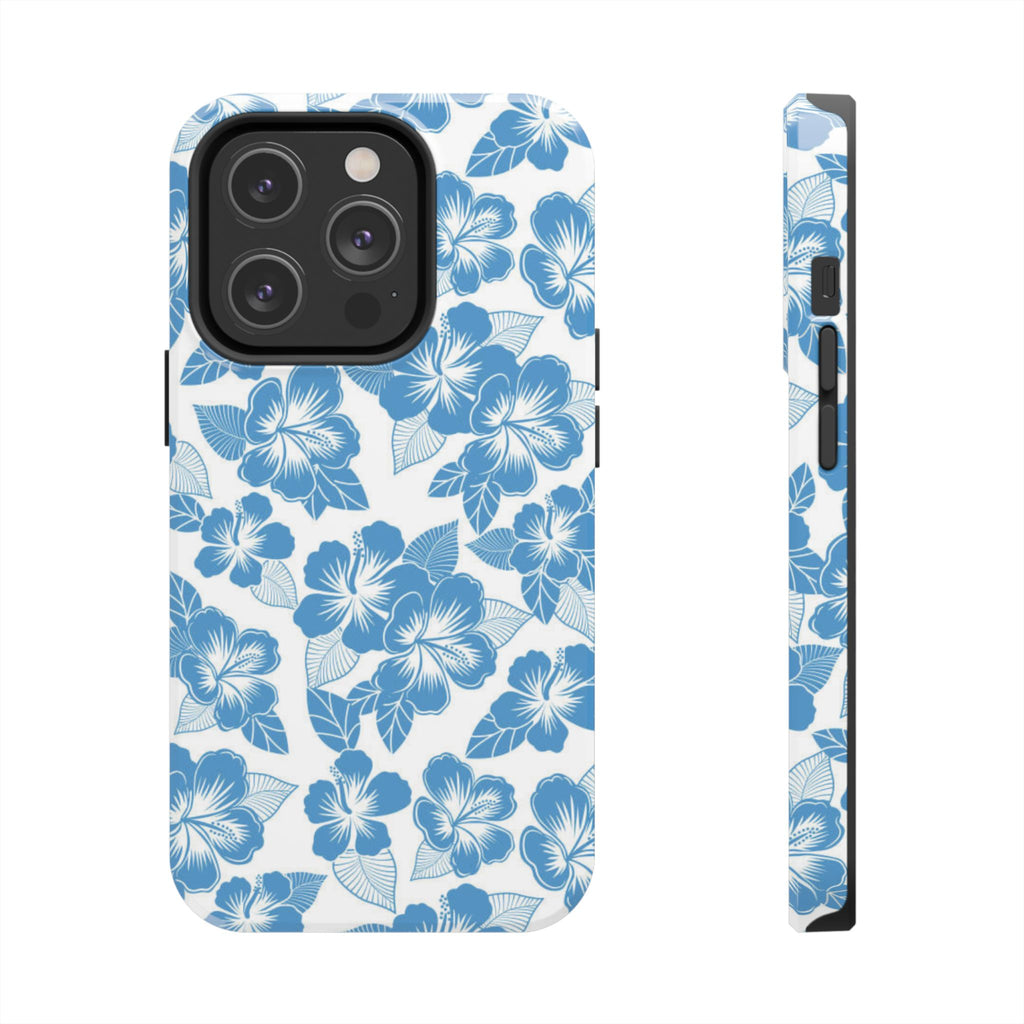 hawaiian ice case