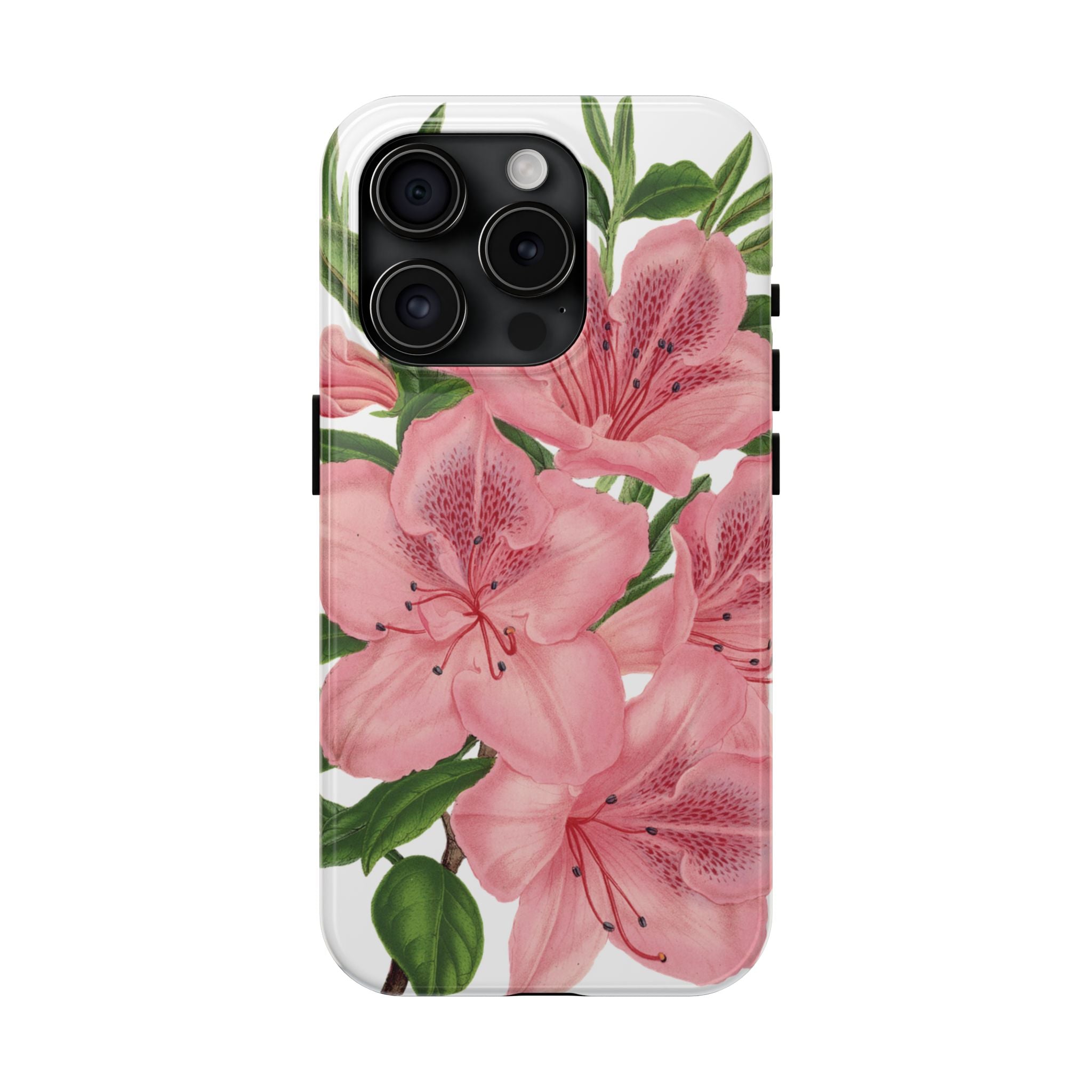 hibiscus case