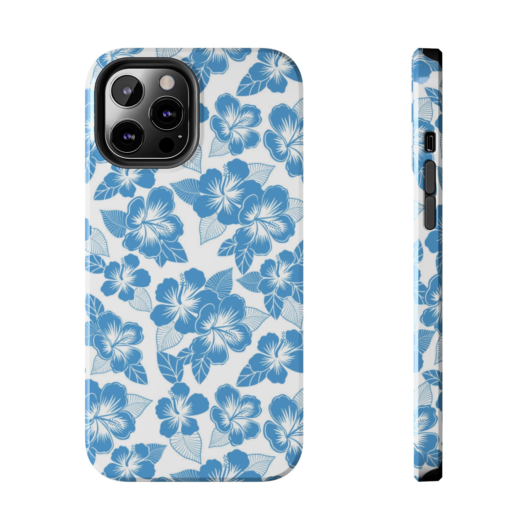 hawaiian ice case