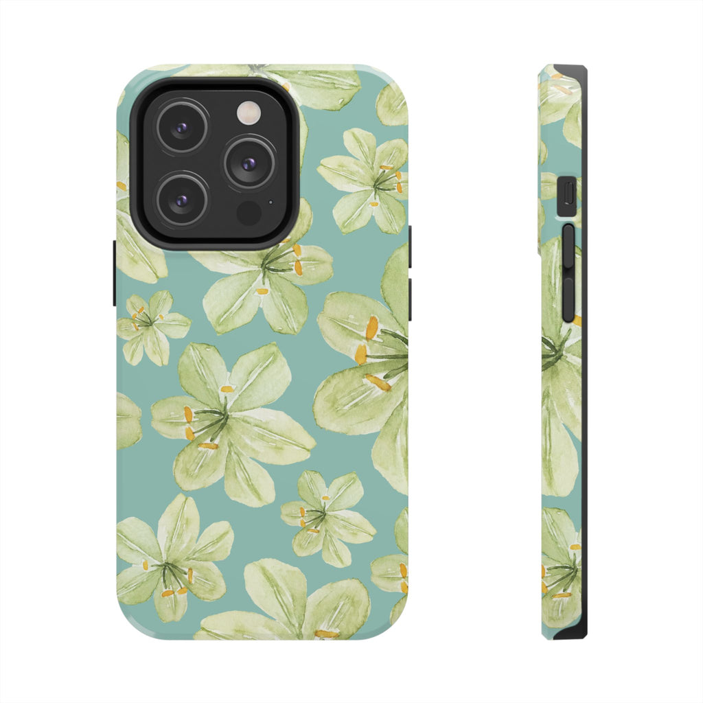 isla case