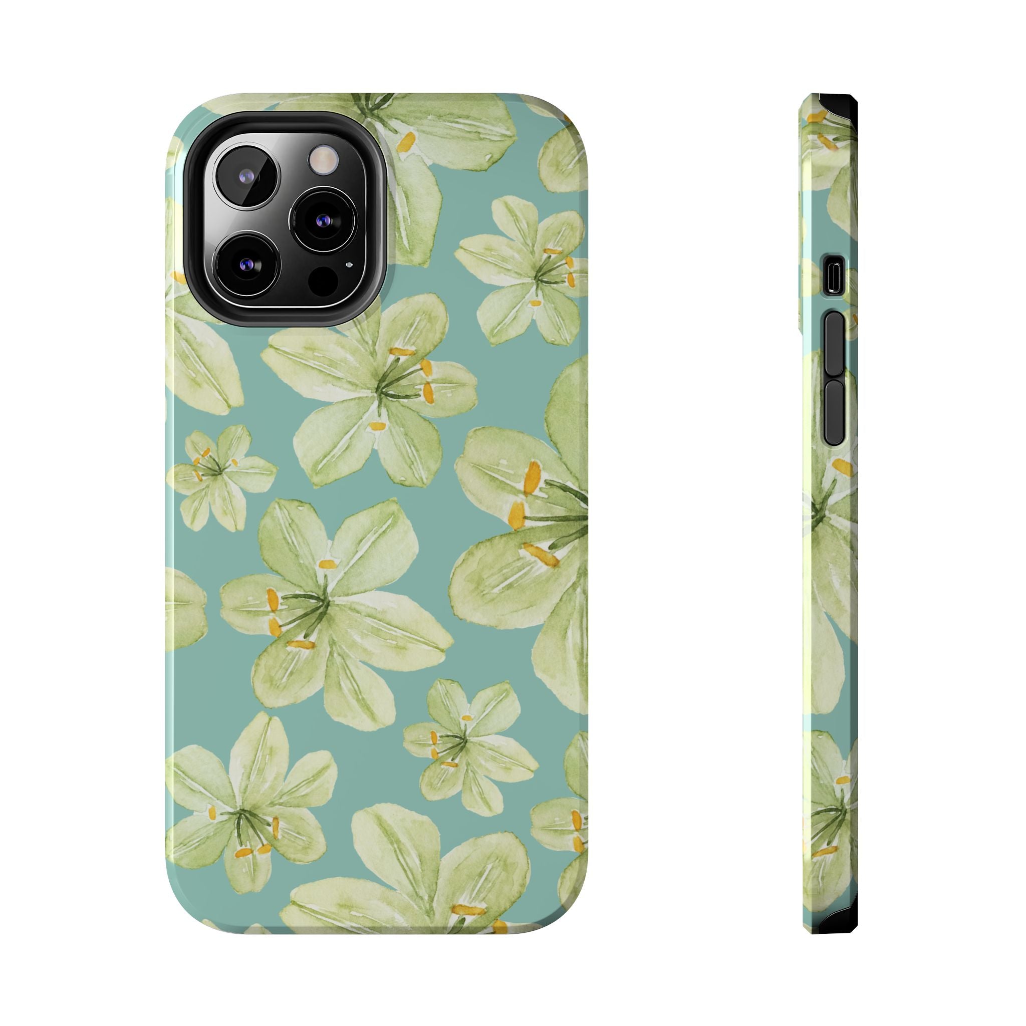 isla case