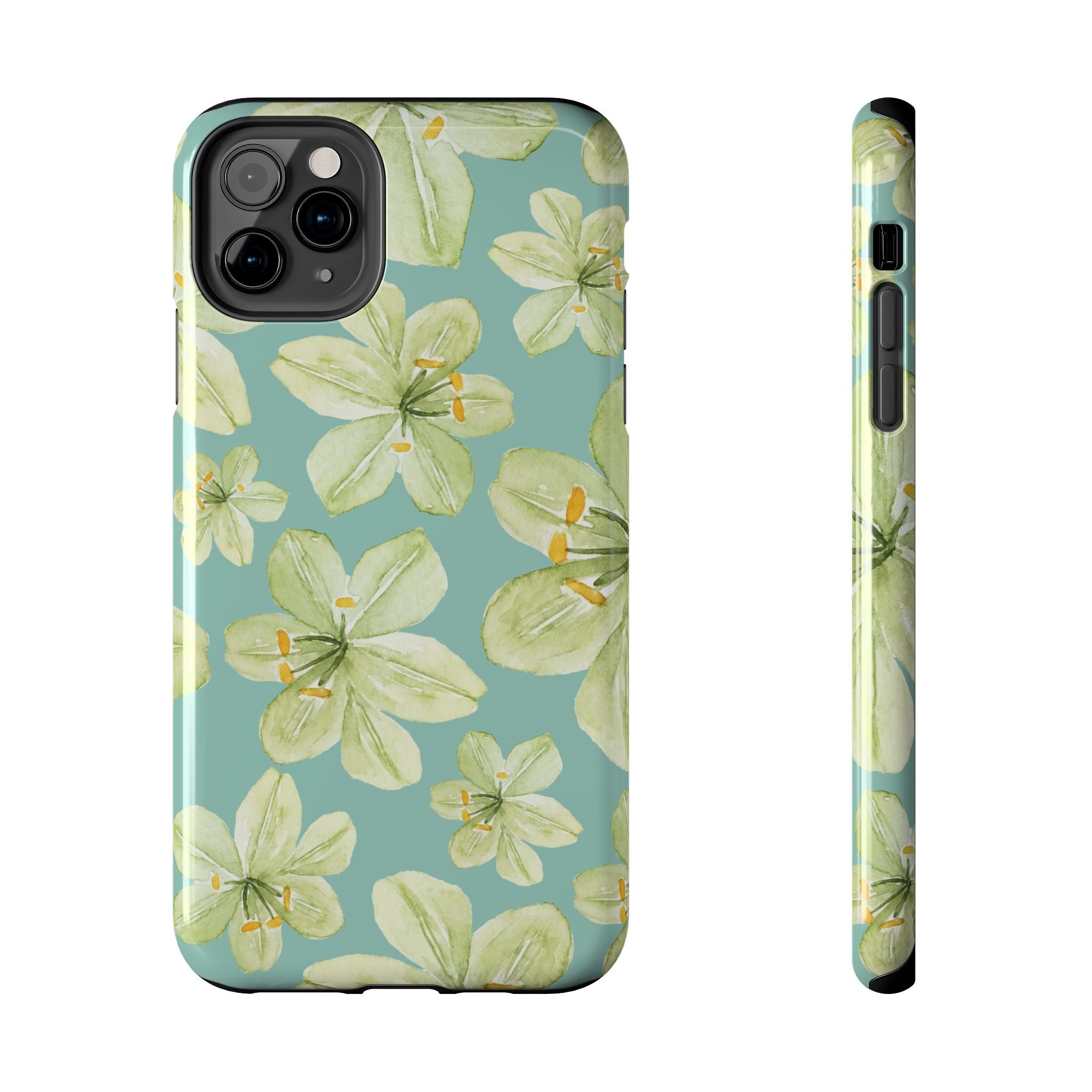isla case
