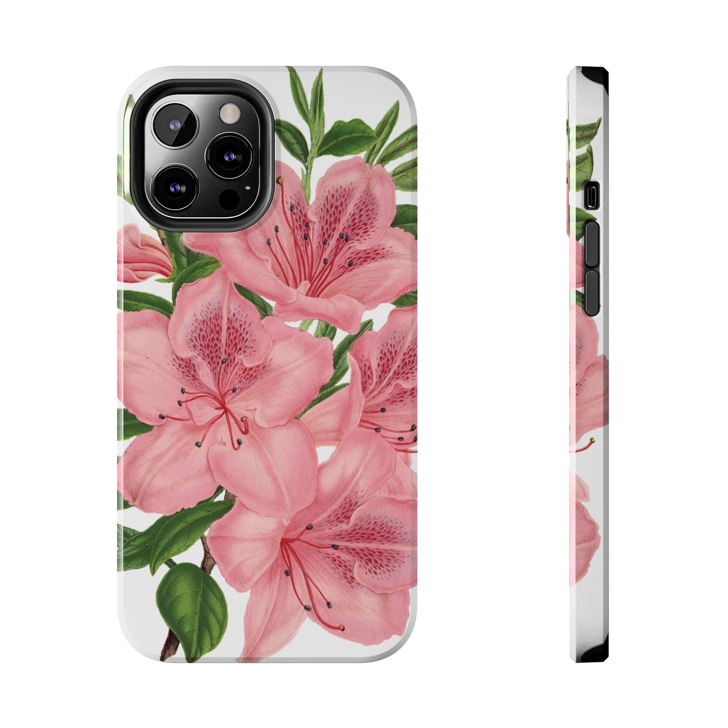 hibiscus case