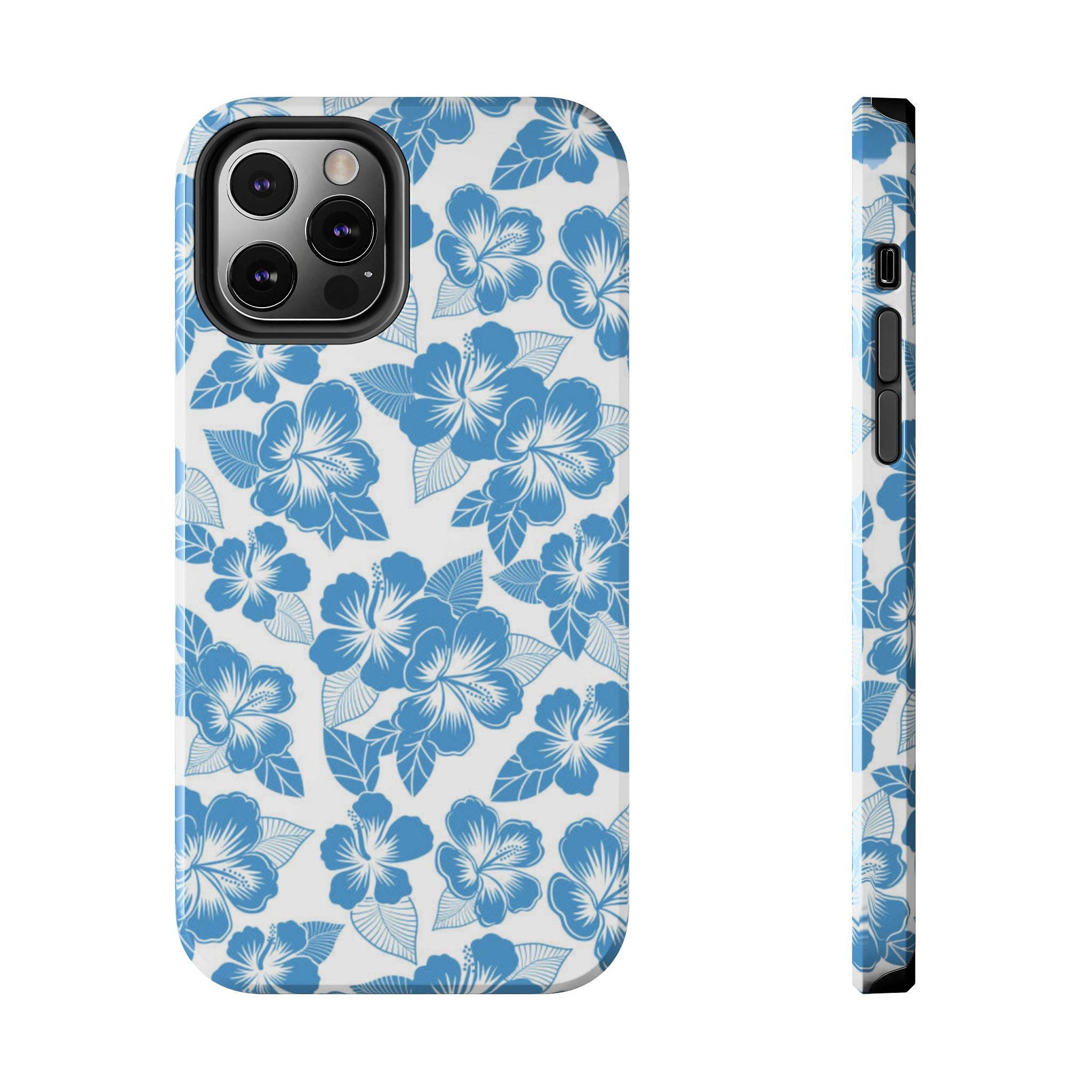 hawaiian ice case