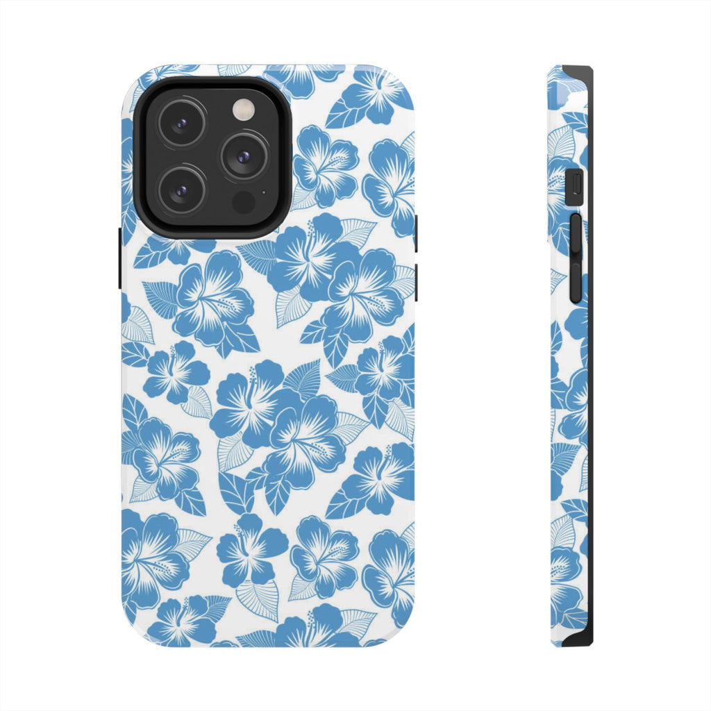 hawaiian ice case