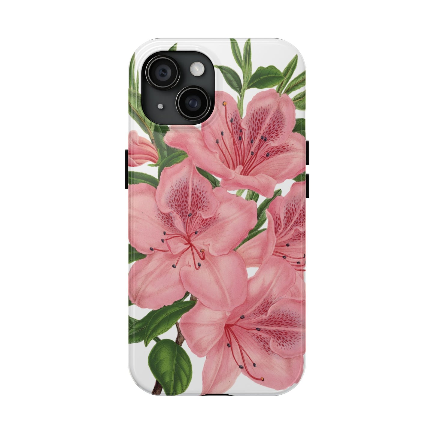 hibiscus case