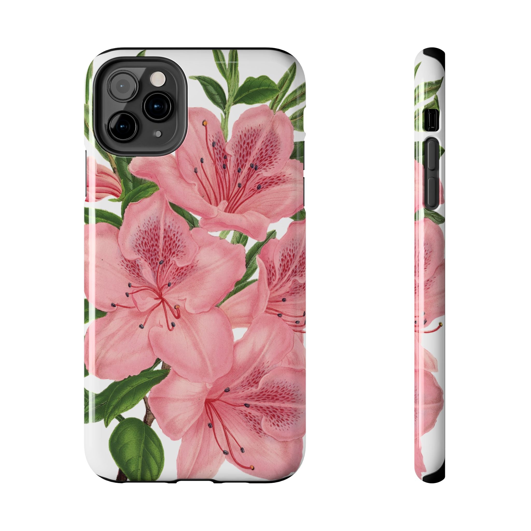 hibiscus case