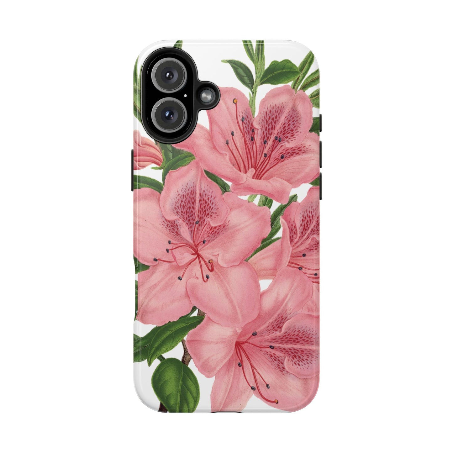 hibiscus case