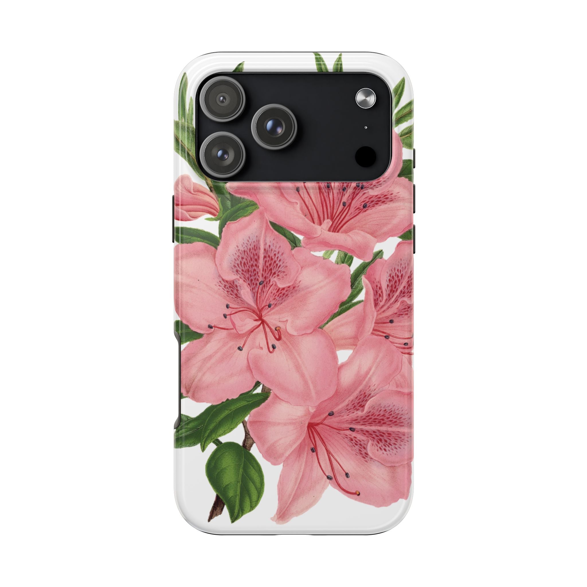 hibiscus case