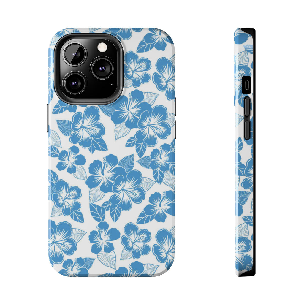 hawaiian ice case