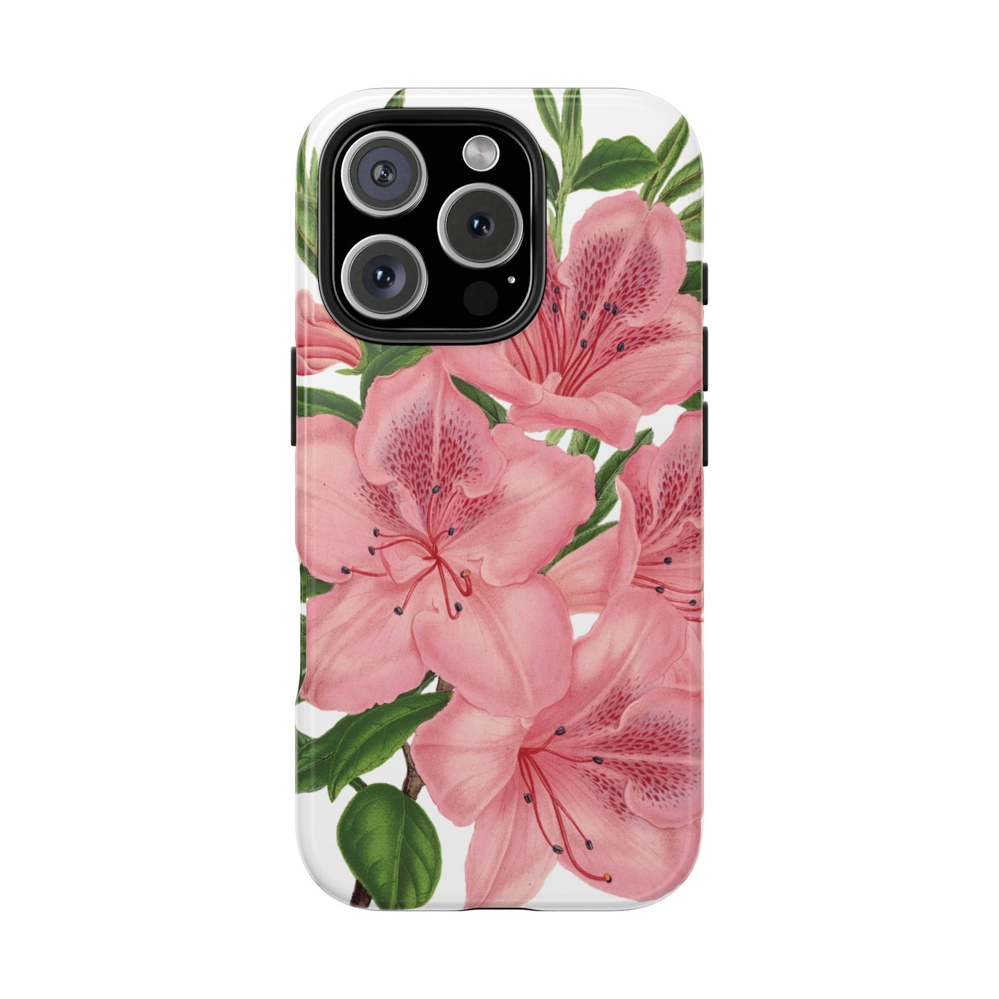 hibiscus case