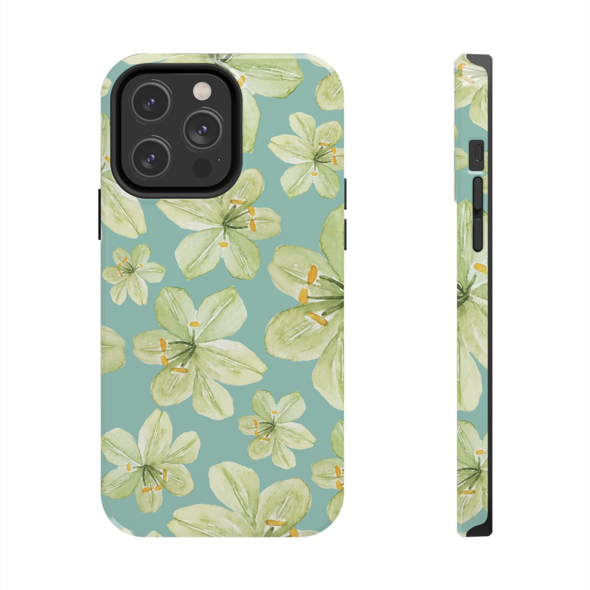 isla case