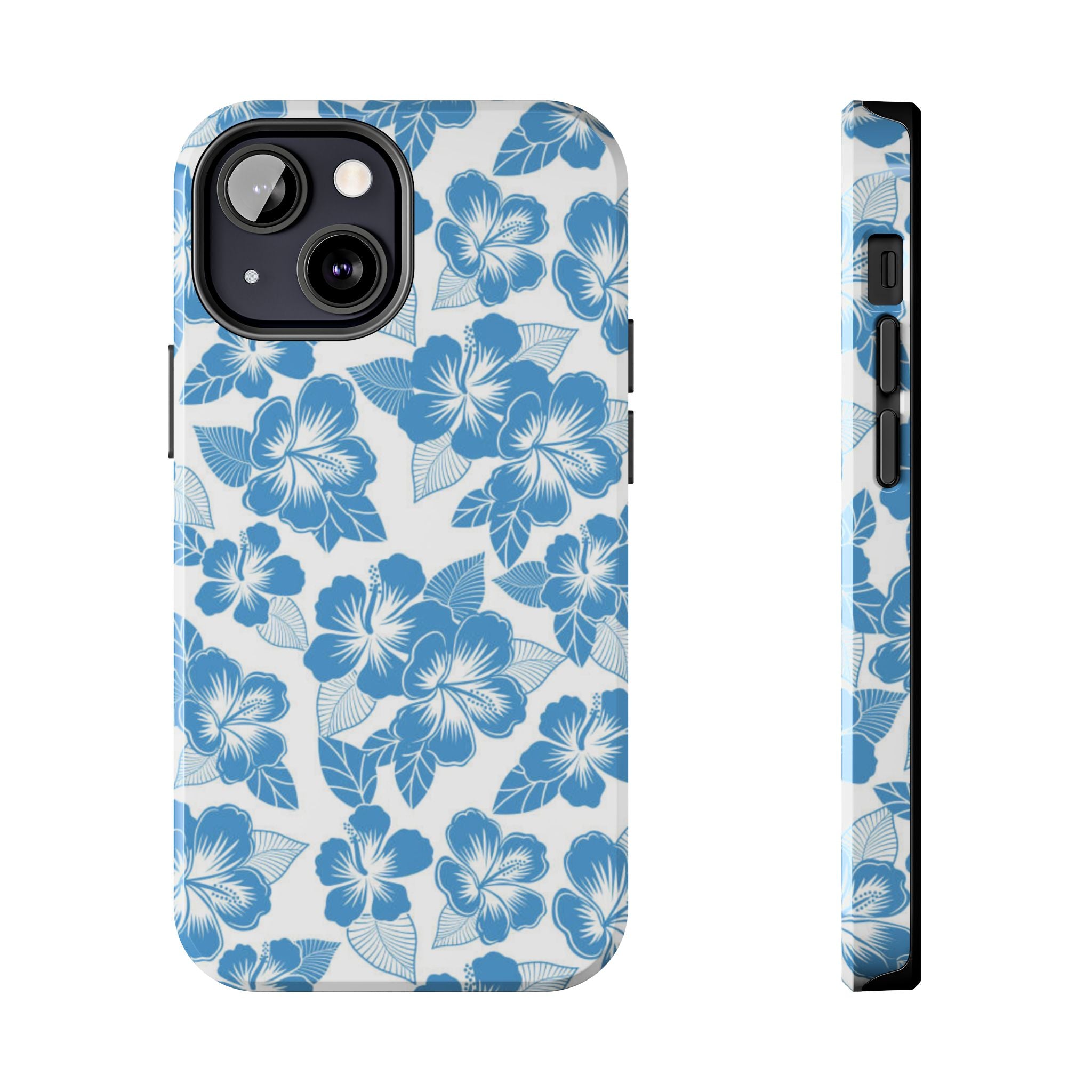 hawaiian ice case