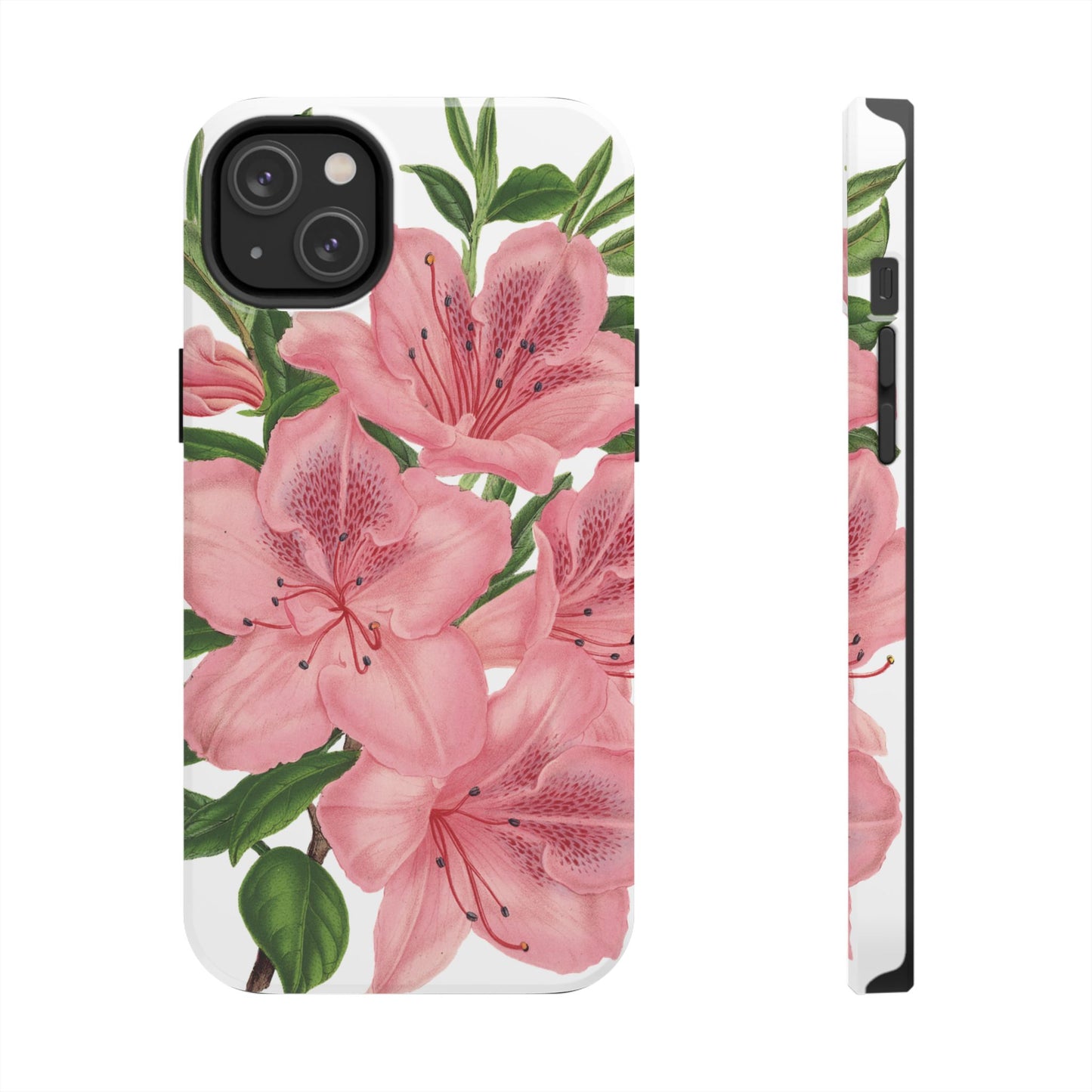 hibiscus case