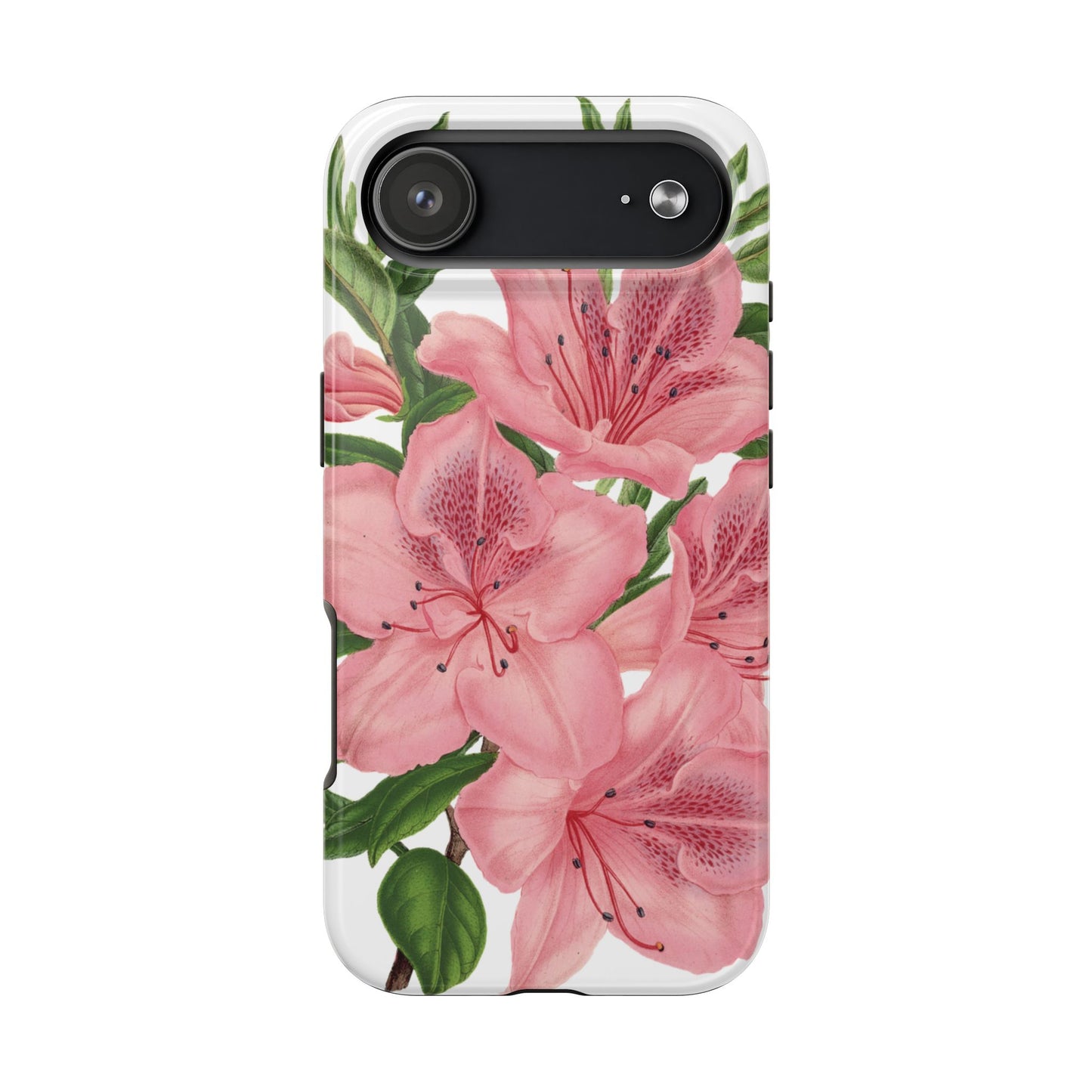 hibiscus case