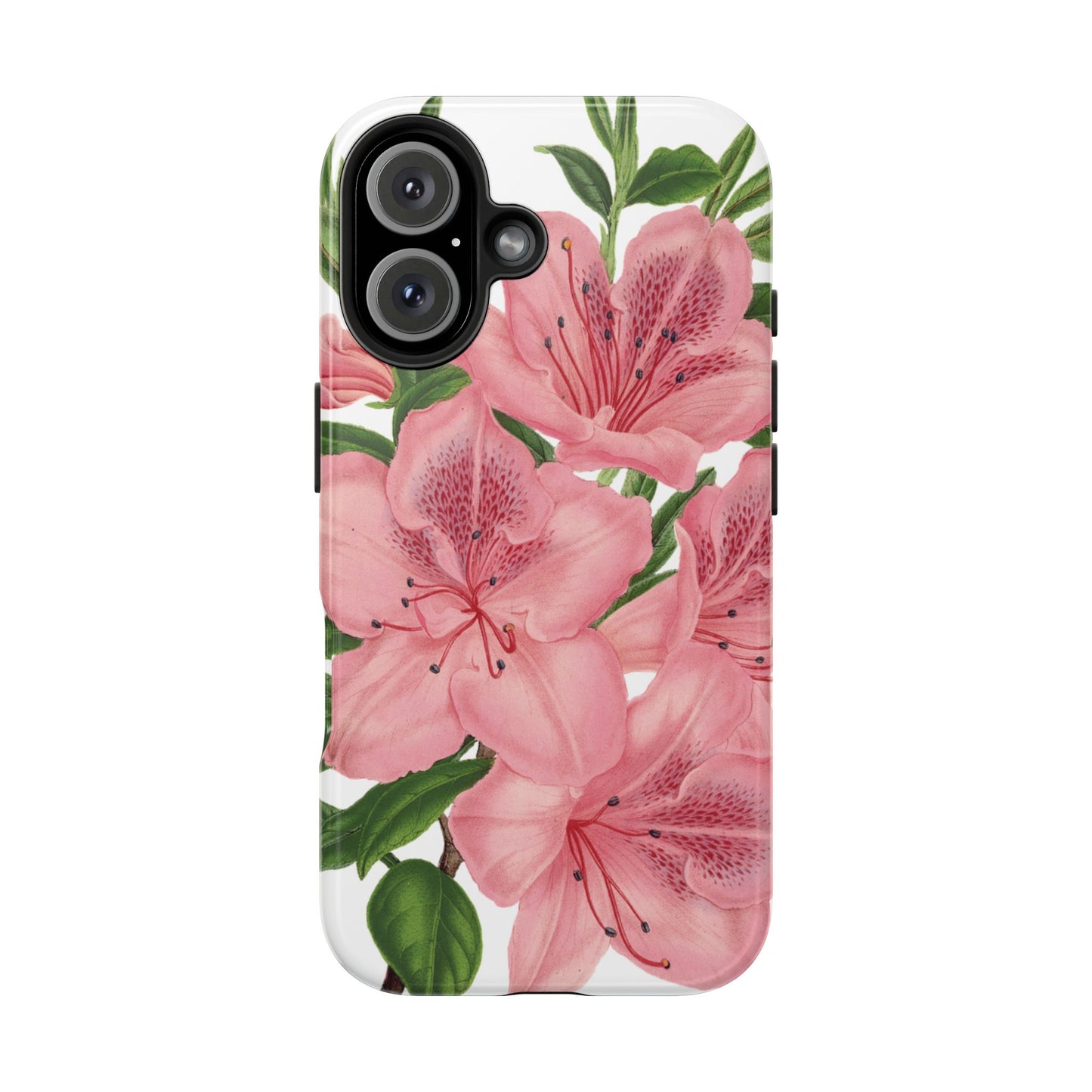 hibiscus case
